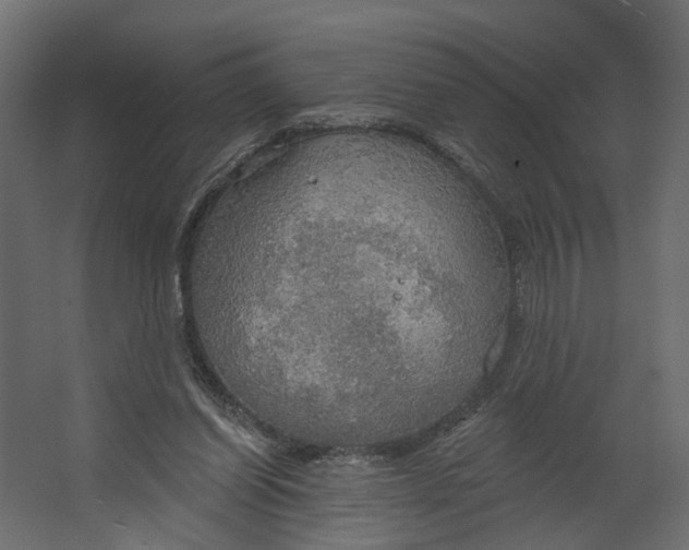 X0000067470254200604211614