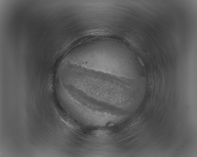 X0000067470255200604211614