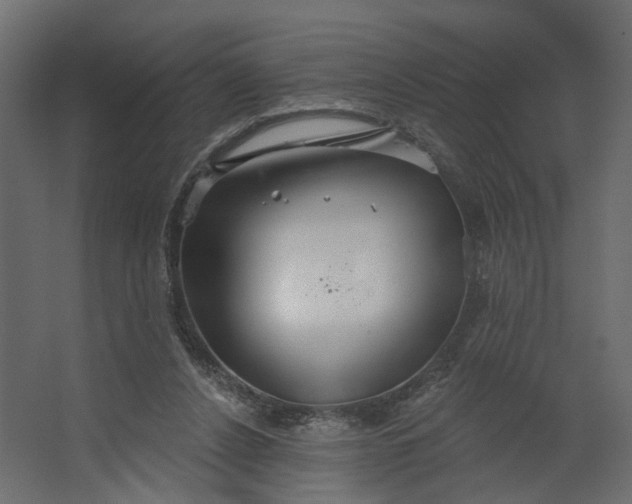 X0000067470256200604211614