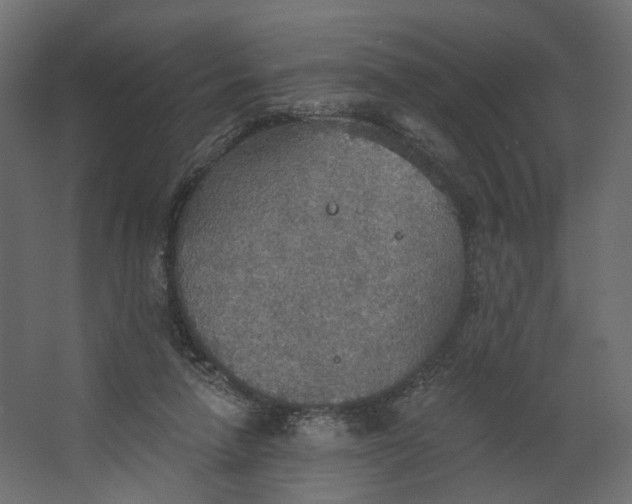 X0000067470258200604211614