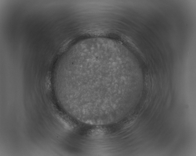 X0000067470259200604211614