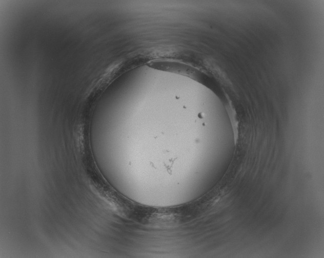 X0000067470260200604211614