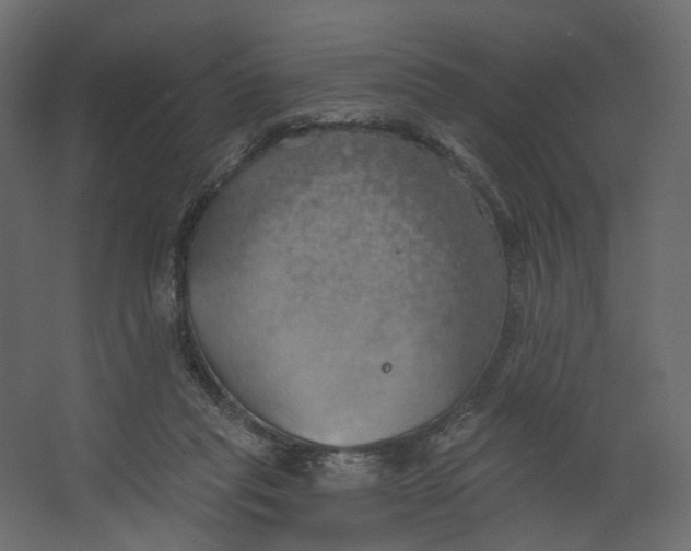 X0000067470261200604211614