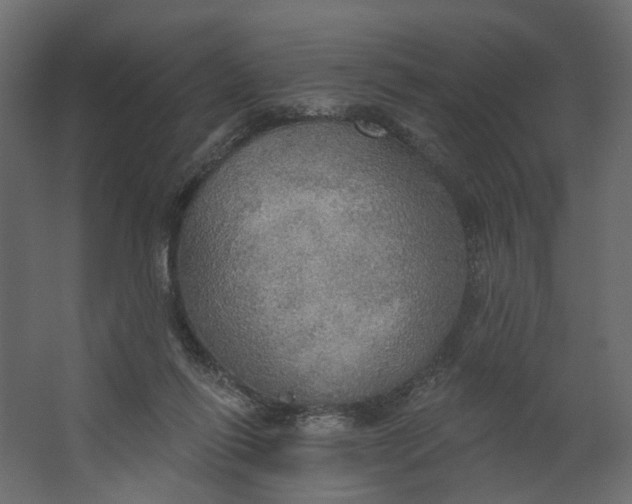 X0000067470262200604211614