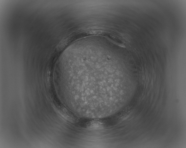 X0000067470263200604211614