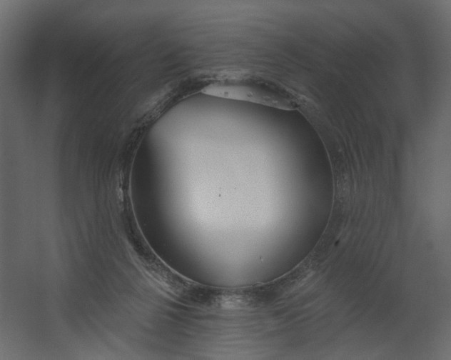 X0000067470264200604211614