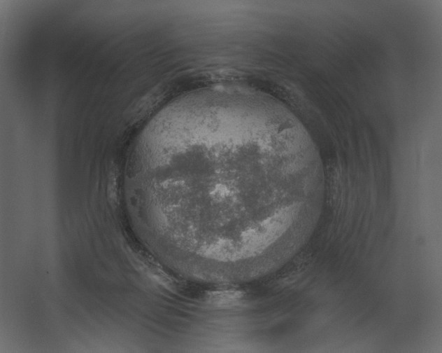 X0000067470266200604211615