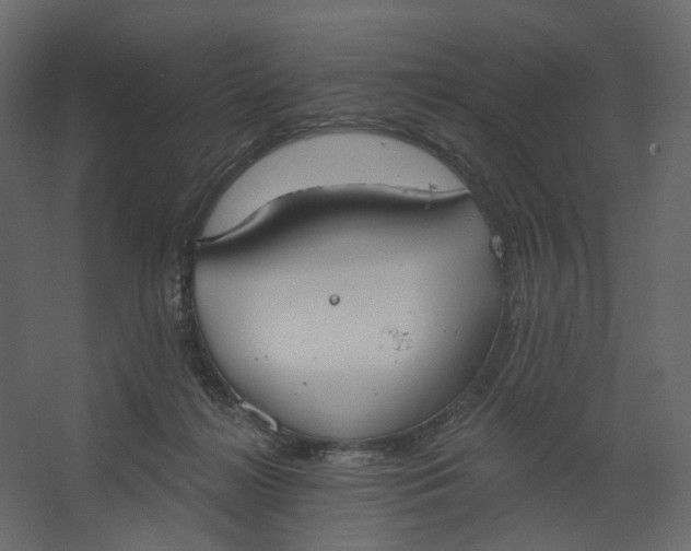 X0000067470268200604211615