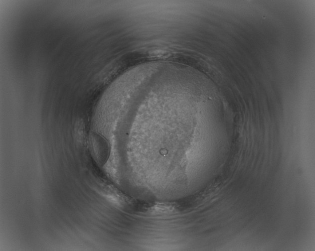 X0000067470270200604211615