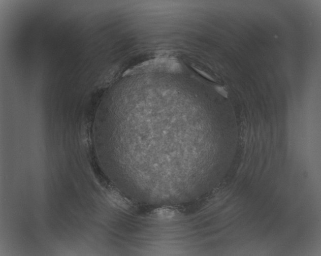 X0000067470272200604211615