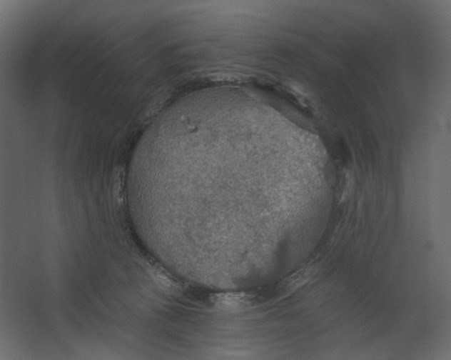 X0000067470273200604211615