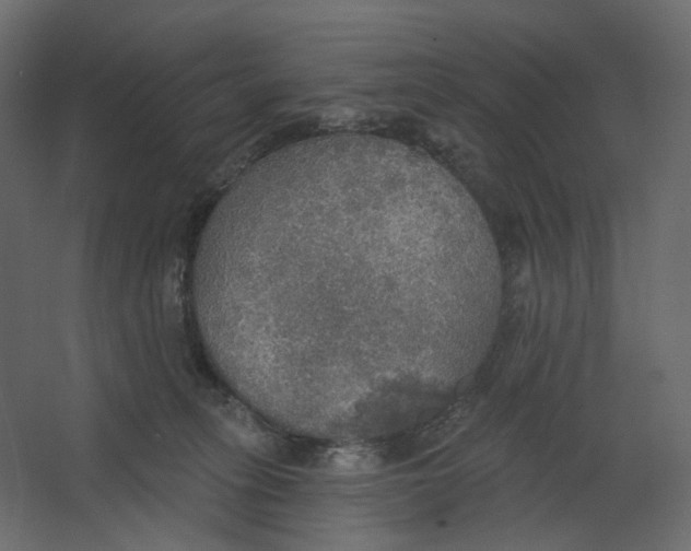 X0000067470275200604211615