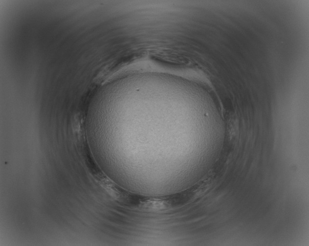 X0000067470276200604211615