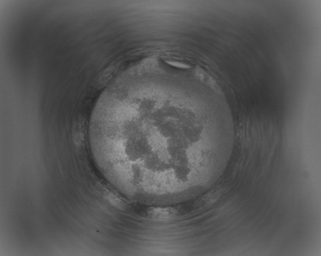 X0000067470277200604211615