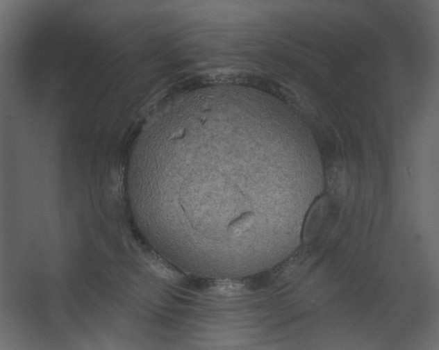 X0000067470278200604211615