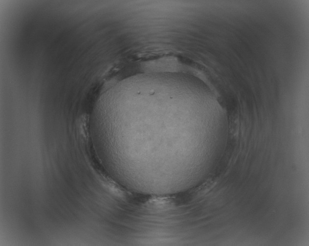 X0000067470280200604211615