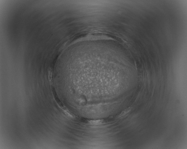 X0000067470281200604211615