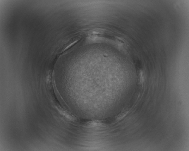 X0000067470284200604211615