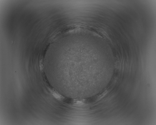 X0000067470285200604211615