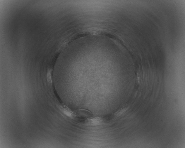 X0000067470286200604211615