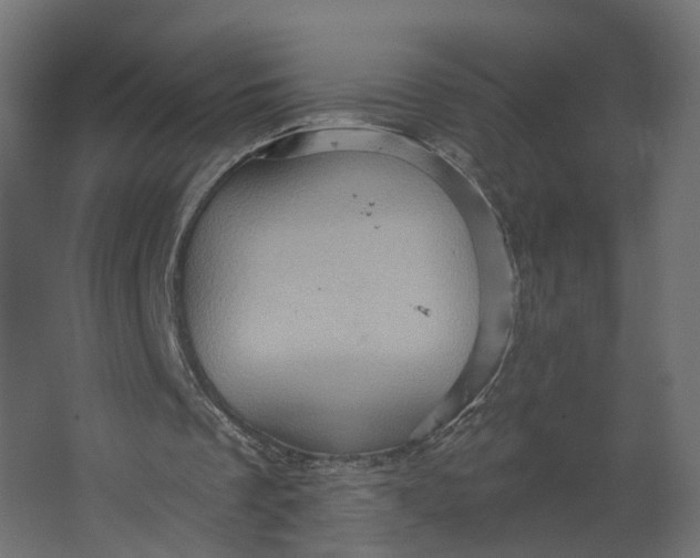 X0000067470289200604211614