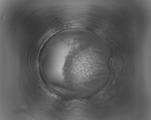 X0000067470290200604211614