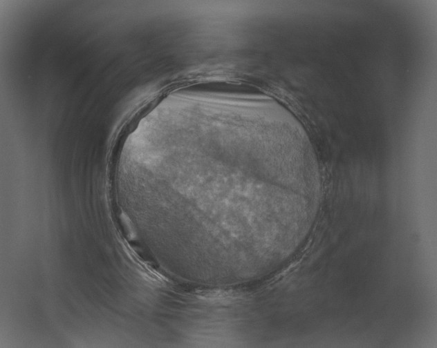 X0000067470293200604211614