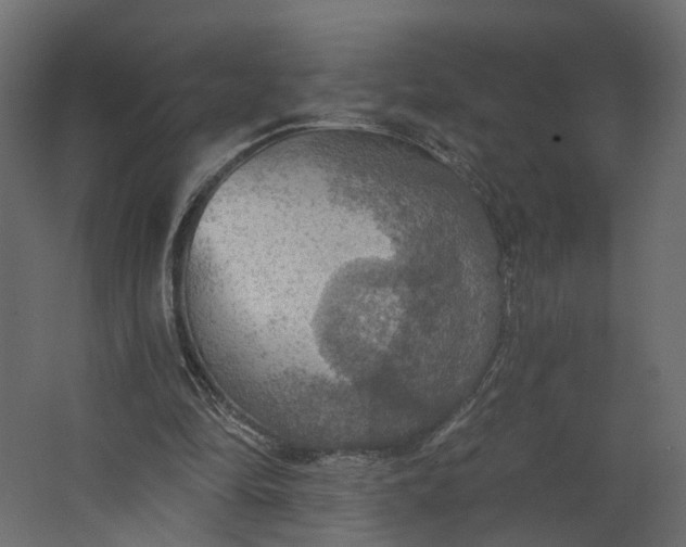 X0000067470294200604211614