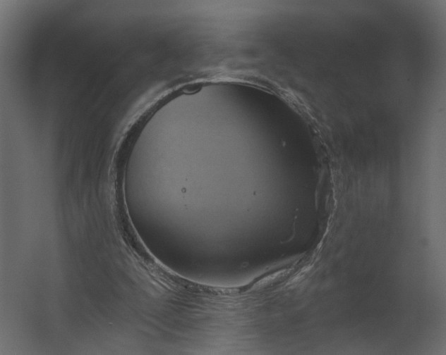 X0000067470295200604211614