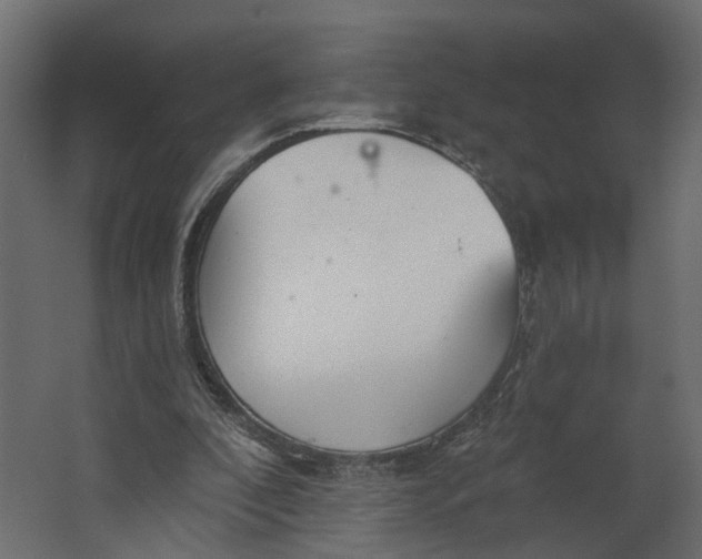 X0000067470296200604211614