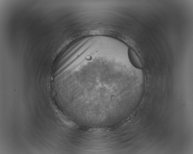 X0000067470297200604211614