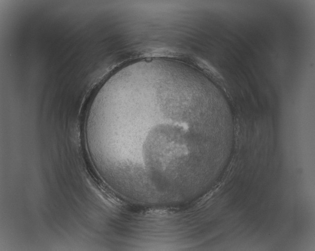 X0000067470298200604211614