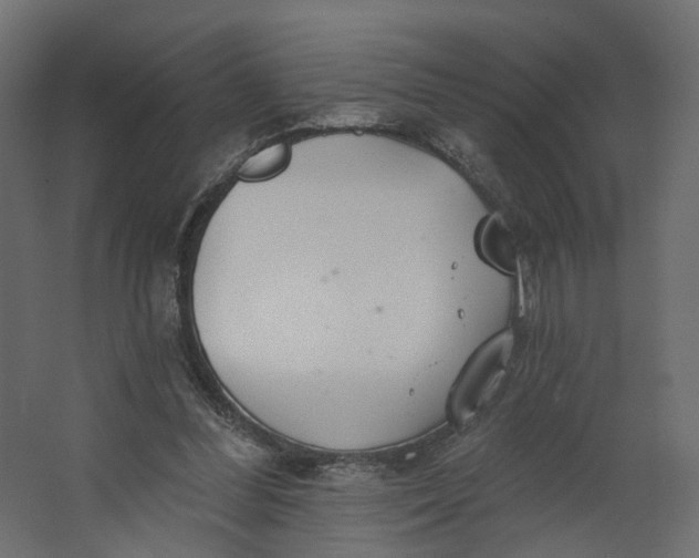 X0000067470300200604211614