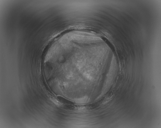 X0000067470301200604211614