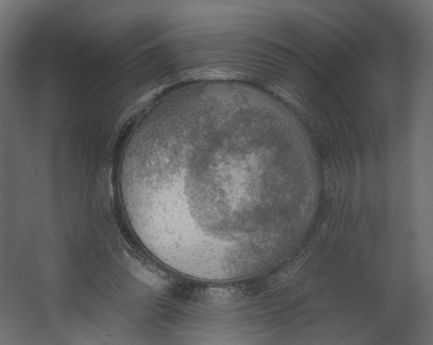 X0000067470302200604211614