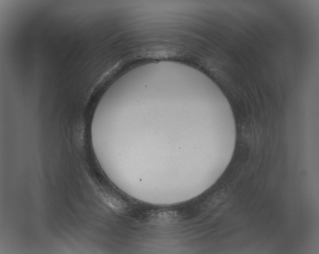 X0000067470304200604211614