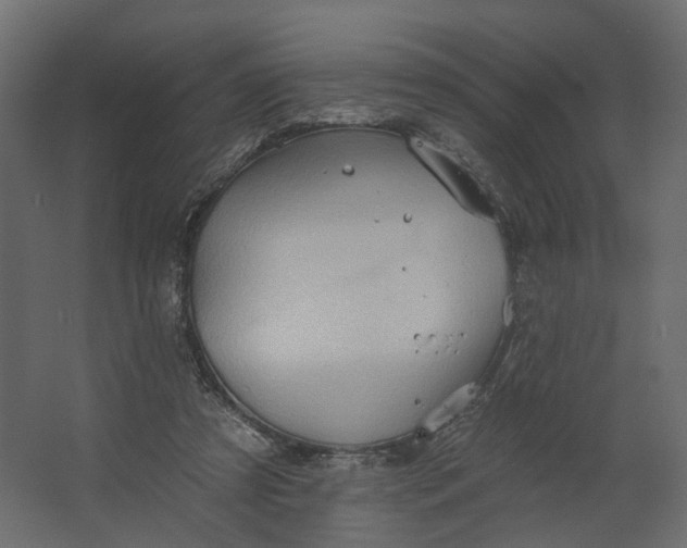 X0000067470305200604211614