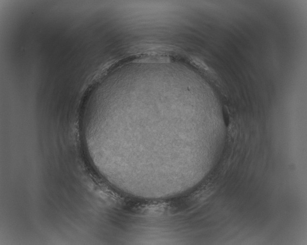 X0000067470306200604211614