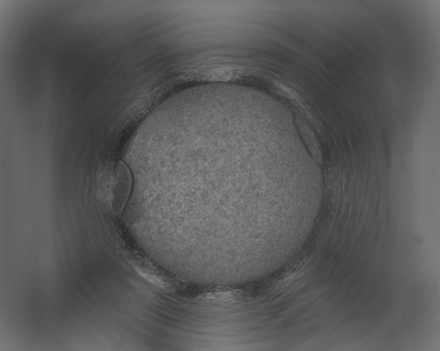 X0000067470307200604211614