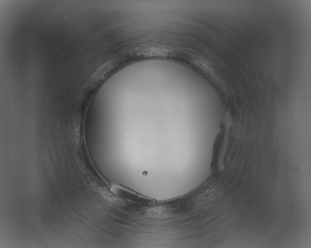 X0000067470309200604211614