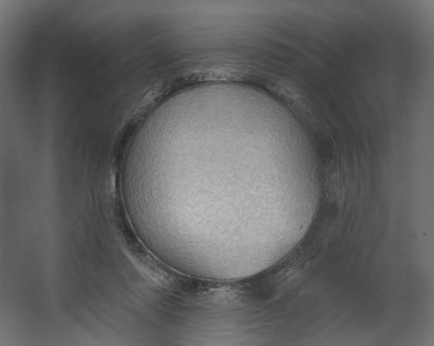 X0000067470310200604211614