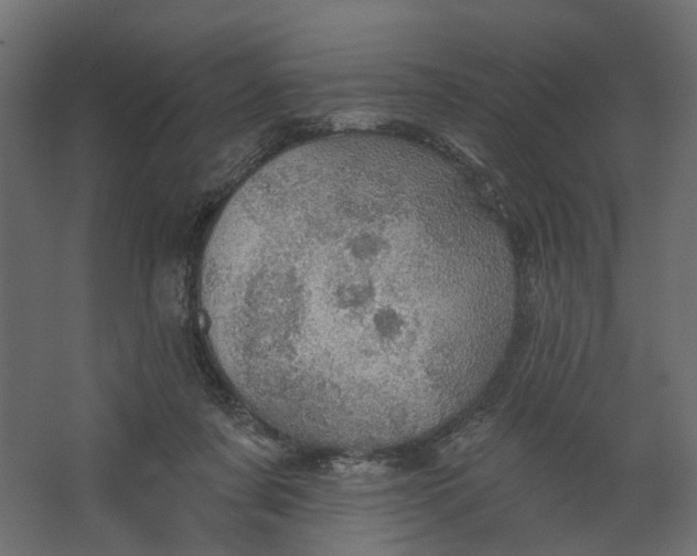 X0000067470311200604211614