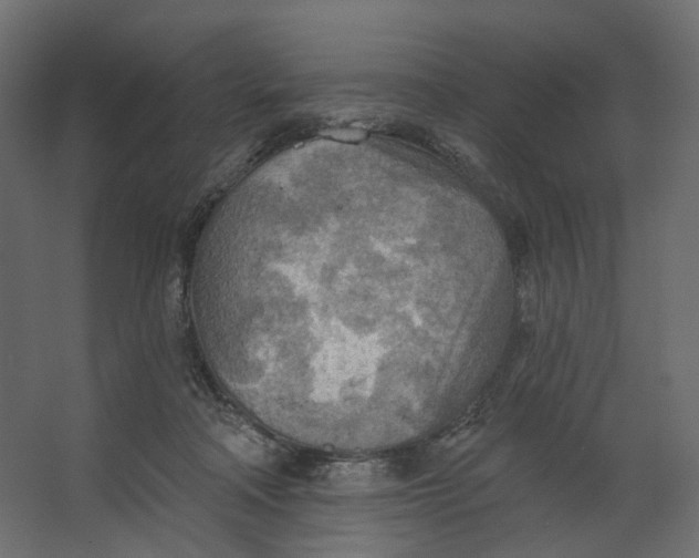 X0000067470314200604211614