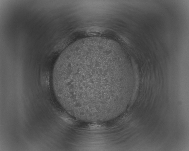 X0000067470315200604211614