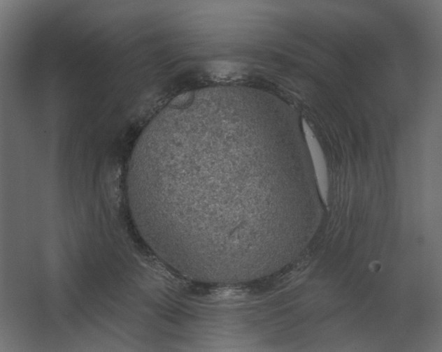 X0000067470319200604211614