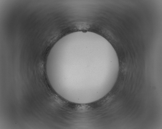 X0000067470321200604211614