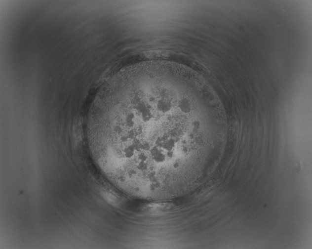 X0000067470323200604211613