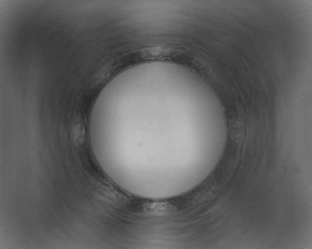 X0000067470324200604211613