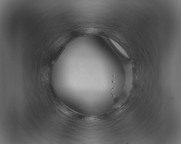 X0000067470325200604211613