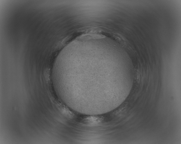 X0000067470326200604211613